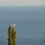 Vista Mare *