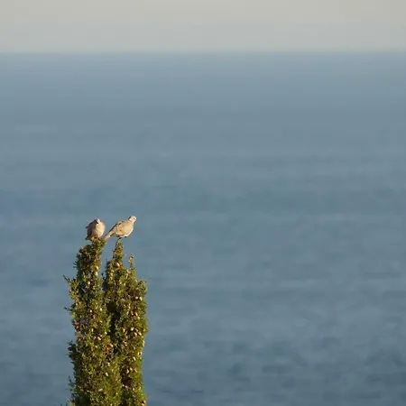 Vista Mare *