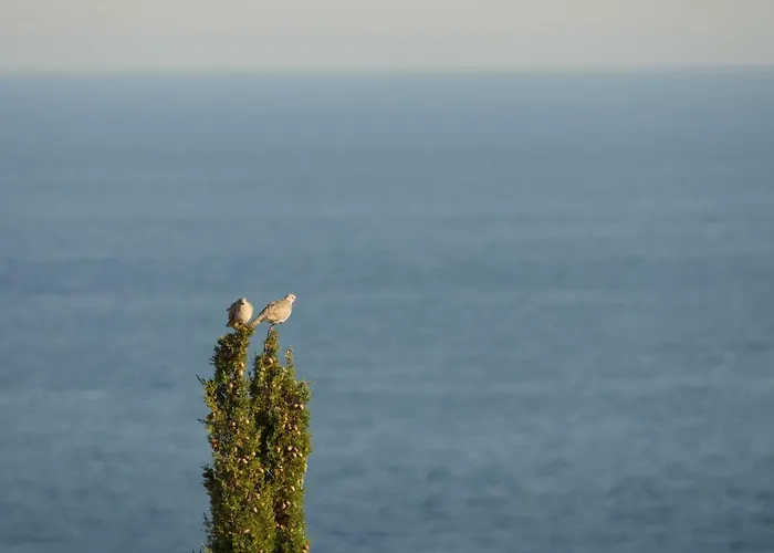 Vista Mare *
